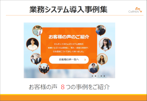 セルネッツExcelシステム導入事例集PDF