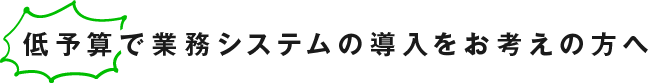 低予算で業務システムの導入をお考えの方へ