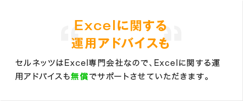 Excelに関する運用アドバイスも